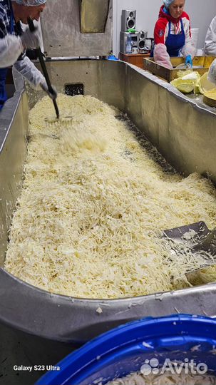 Капуста квашеная