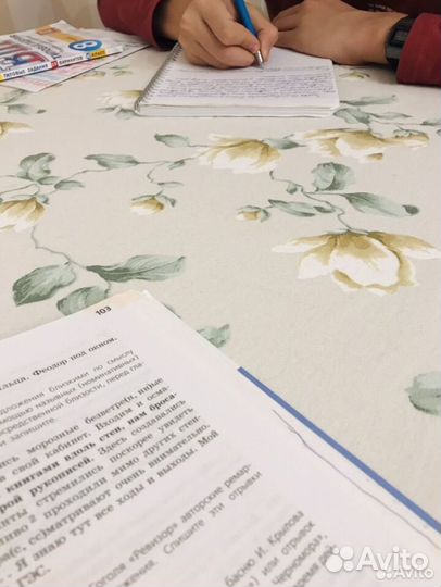 Репетитор по русскому языку подготовка к ОГЭ и ЕГЭ