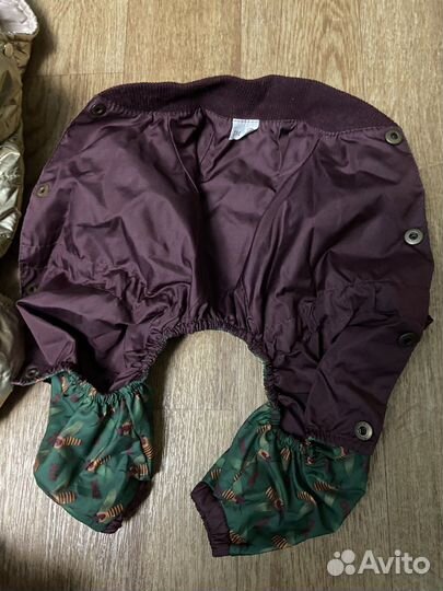 Костюмы для маленьких животных