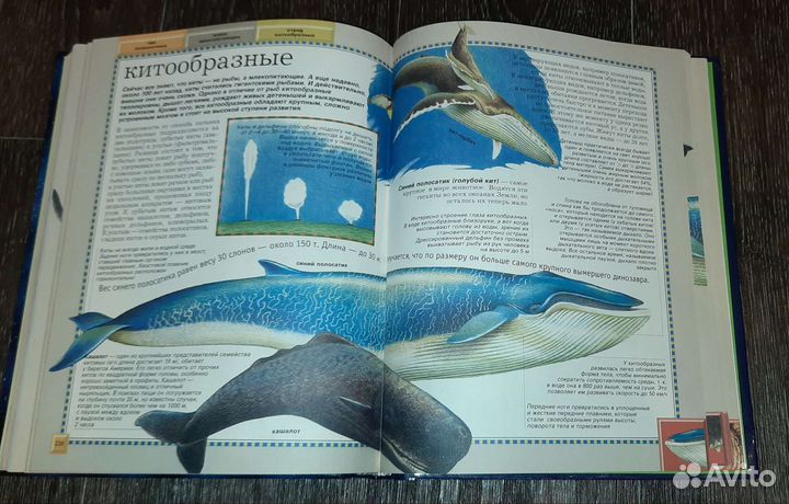 Большие книги на разные темы