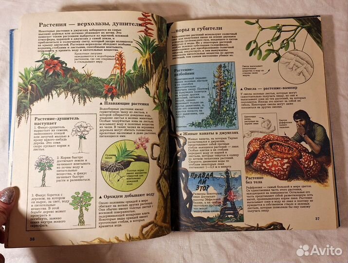 Книга Тайны живой природы