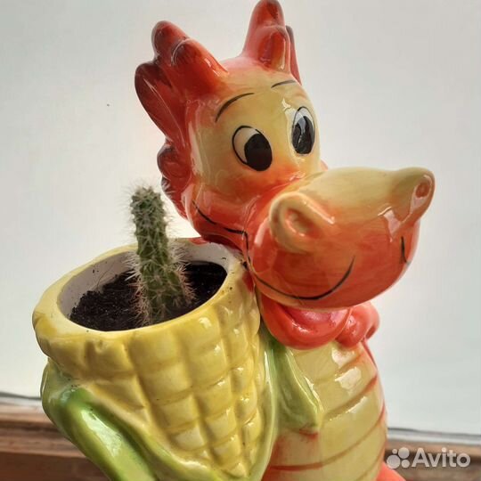 Кактусы и суккуленты