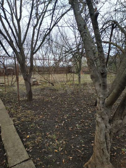 Участок 6,3 сот. (СНТ, ДНП)