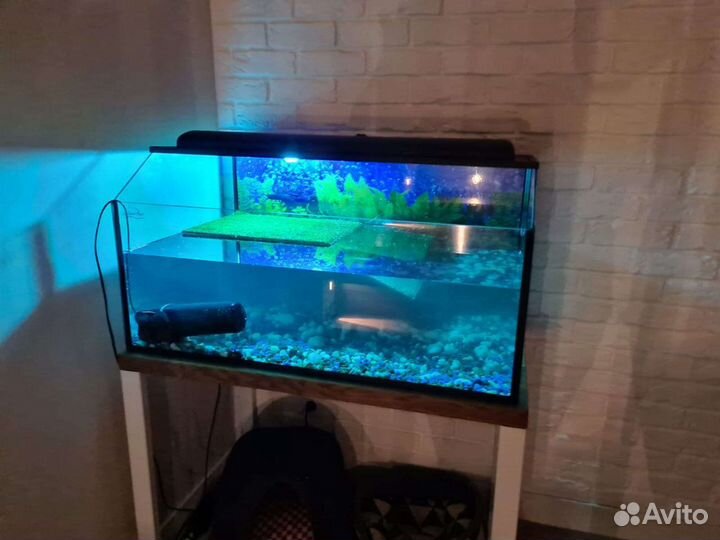 Акватеррариум для черепах 90х50х45