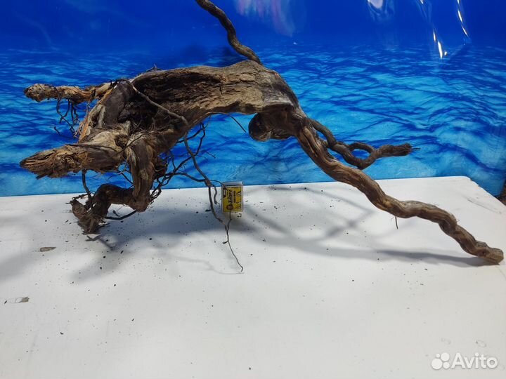 Коряги для интерьера