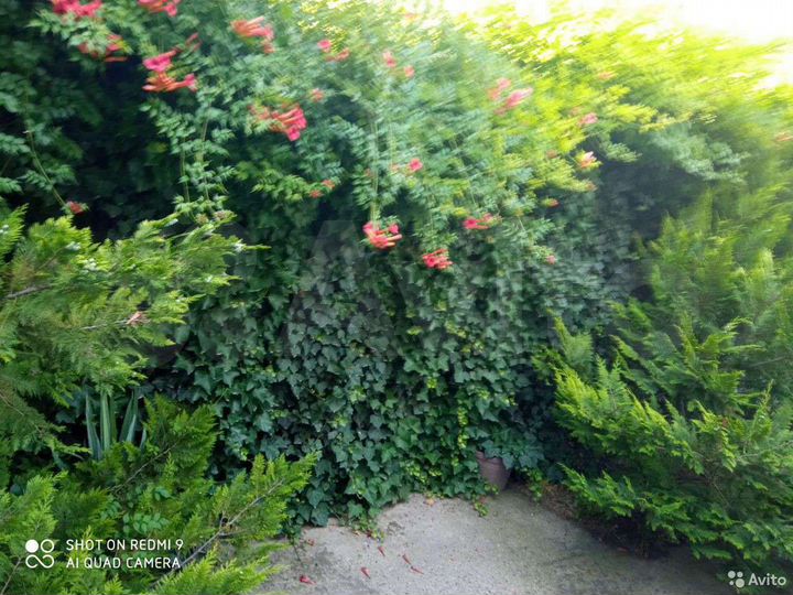 Комната 25 м², 2/2 эт.