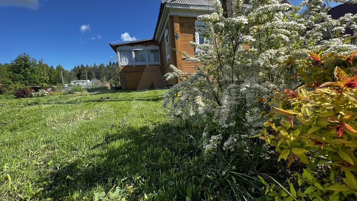 Дом 50 м² на участке 25,5 сот.