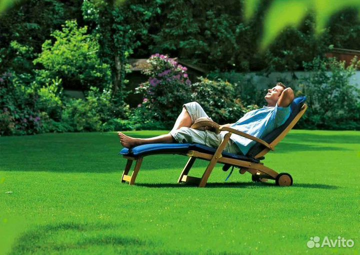 Газон Сибиряк