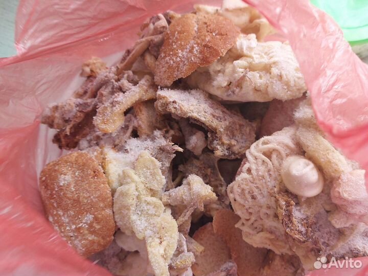 Пищевые отходы для собаки(Бесплатно)