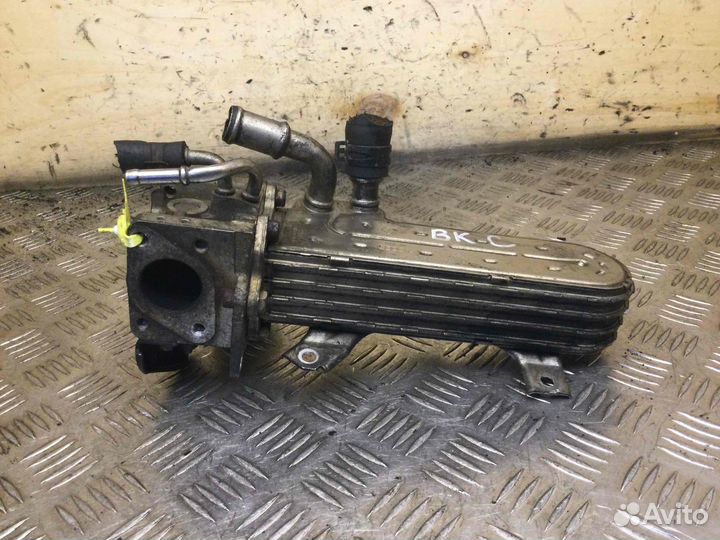 Радиатор EGR Volkswagen Golf 038131513ad BKC