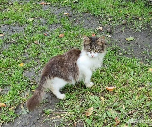 От сердца к сердцу