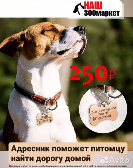 Адресник для Собак и Кошек