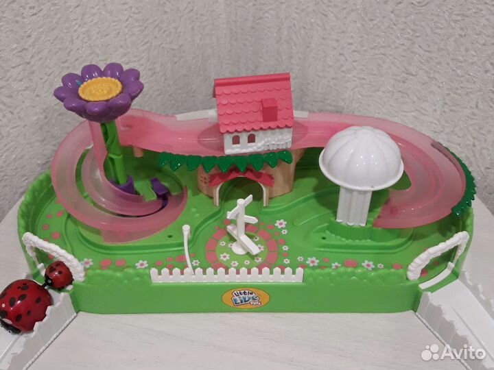 Маленькие живые питомцы-парк божьей коровки