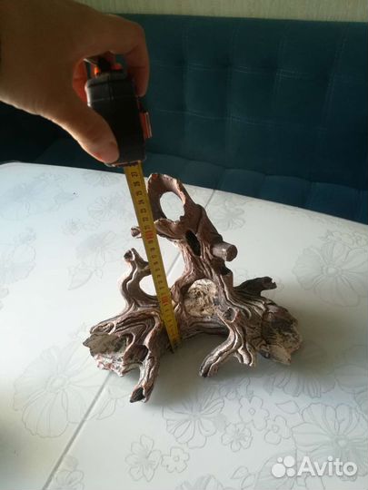 Грот большой, коряга