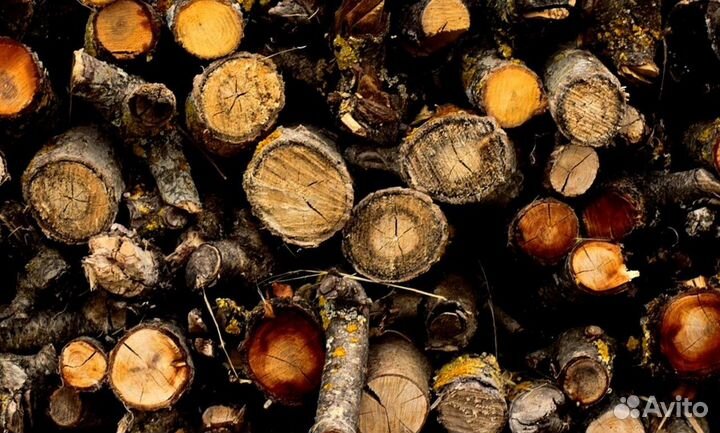 Дрова в Белоостров