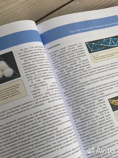 Анатомические поезда