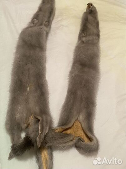 Шкурки норки