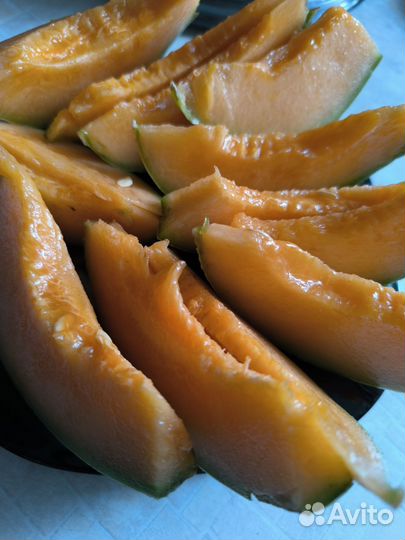 Дыня Шаранте