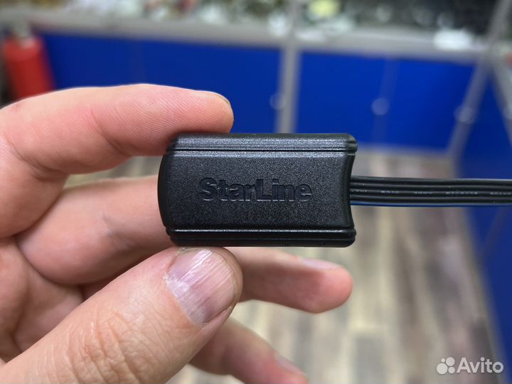 Программатор Starline (новый)