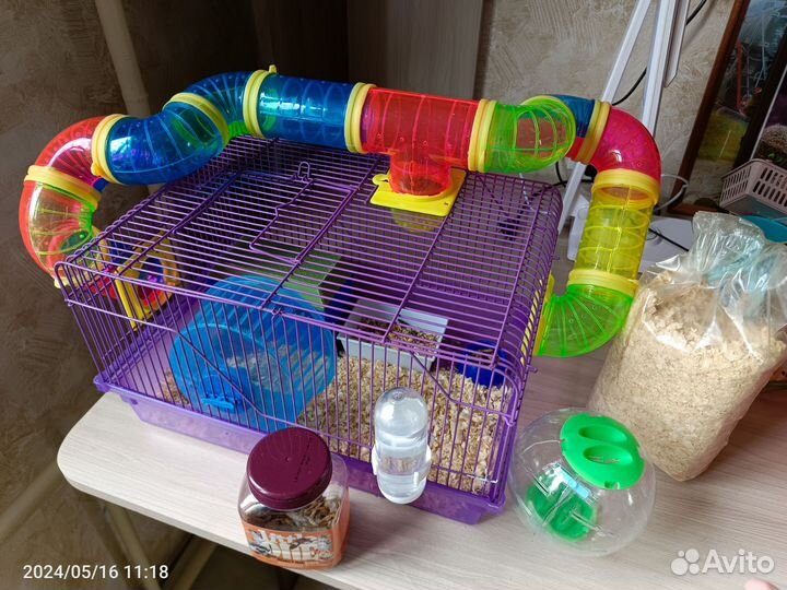 Хомяк с клеткой
