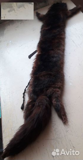 Лисья шкура