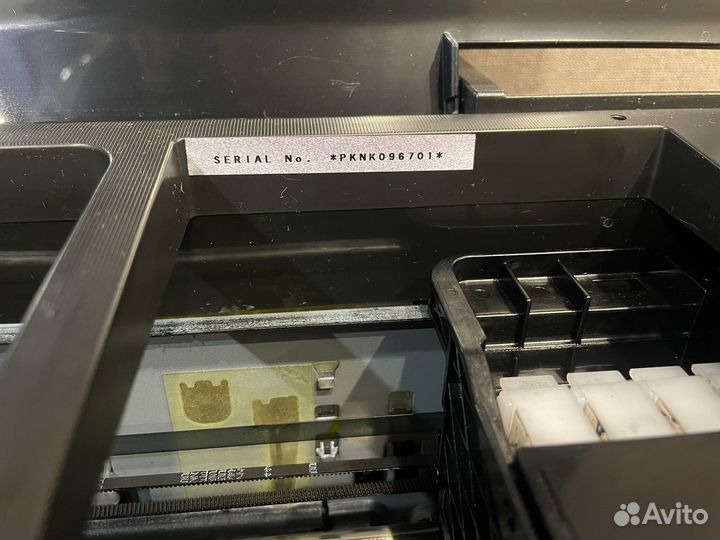 Принтер epson l800