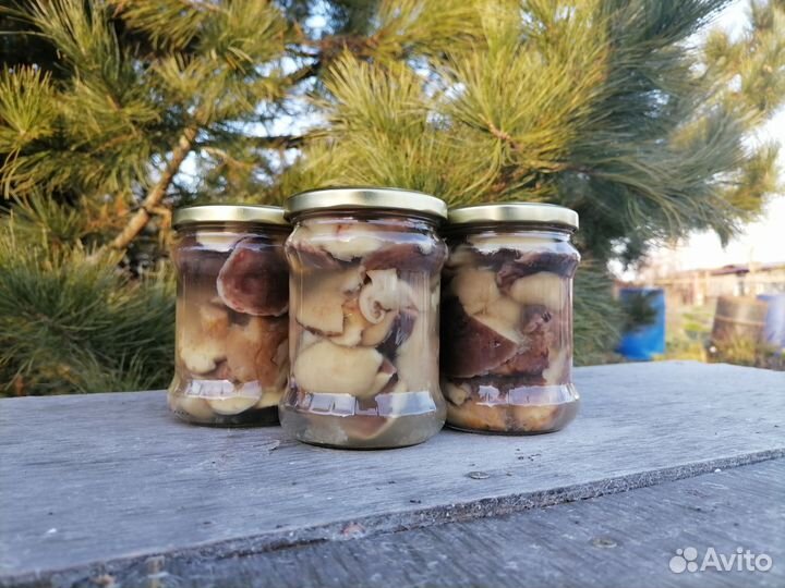 Грузди. Рыжики. Маслята. Опята. Белые. Грибы