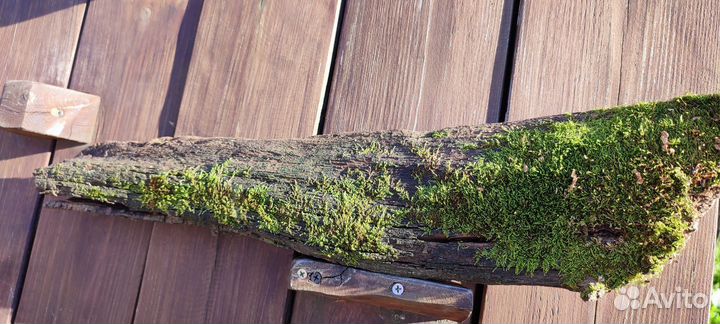 Коряга для декора