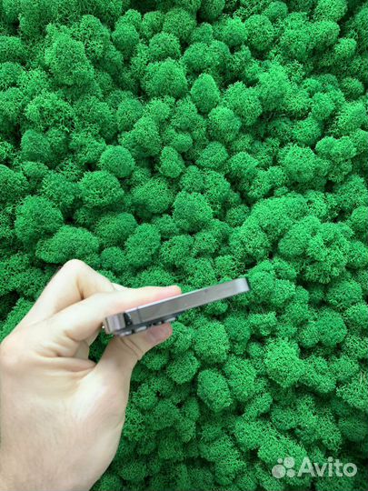 iPhone 13 Pro Max, 1 ТБ