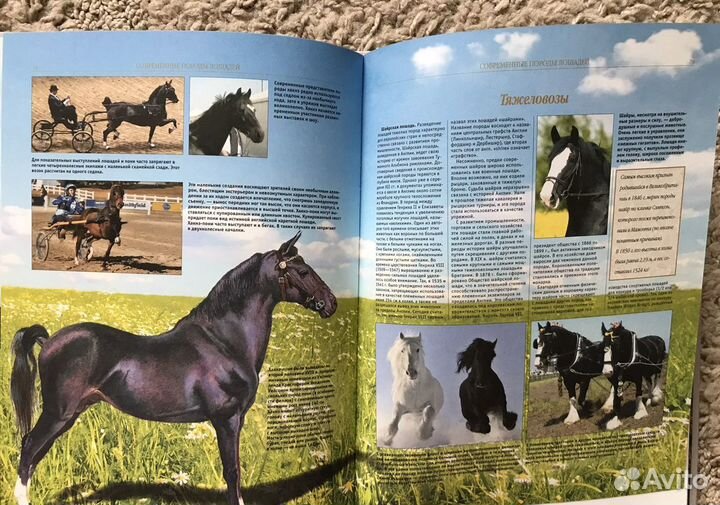 Книги про лошадей