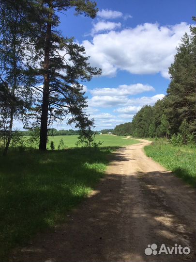 Репетитор по химии и биологии