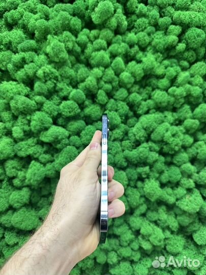 iPhone 12 Pro Max, 512 ГБ
