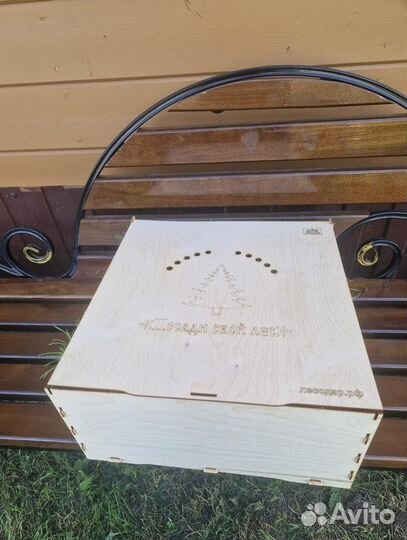 Саженцы ели европейской зкс оптом