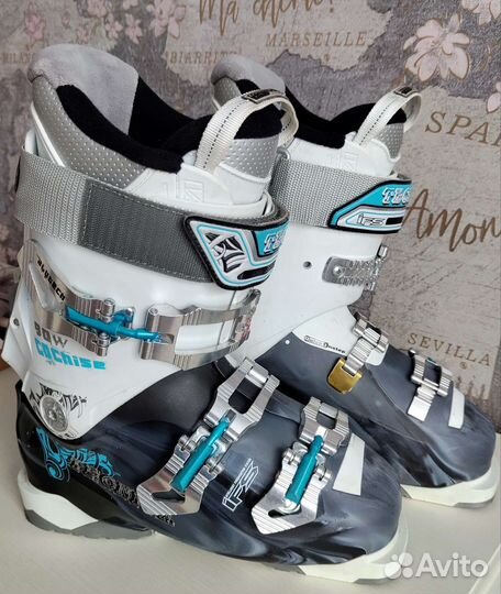 Горные лыжи