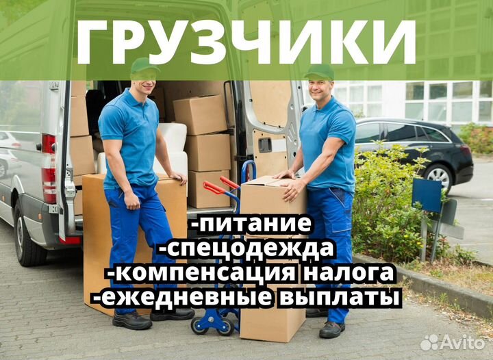 Грузчик экспедитор. Код:hd481