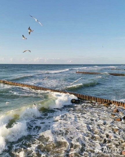 Горящие туры в Калининград