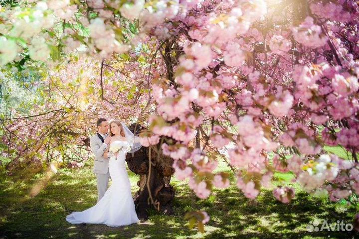 Организация свадьбы организатор координатор