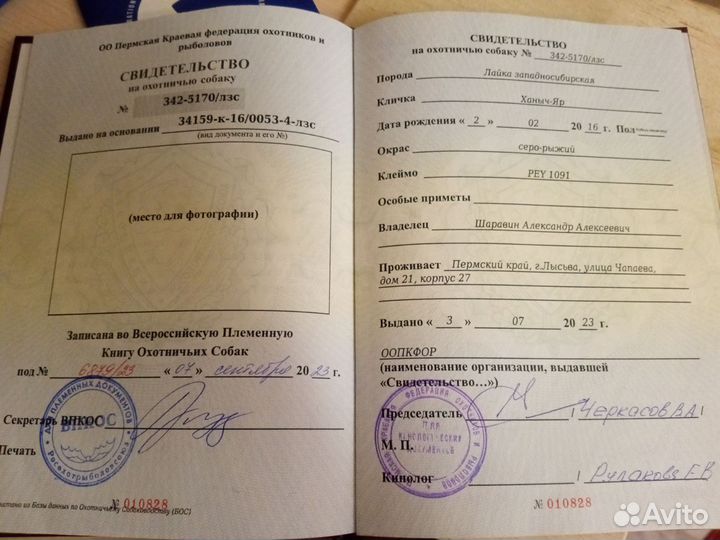 Лайка зсл