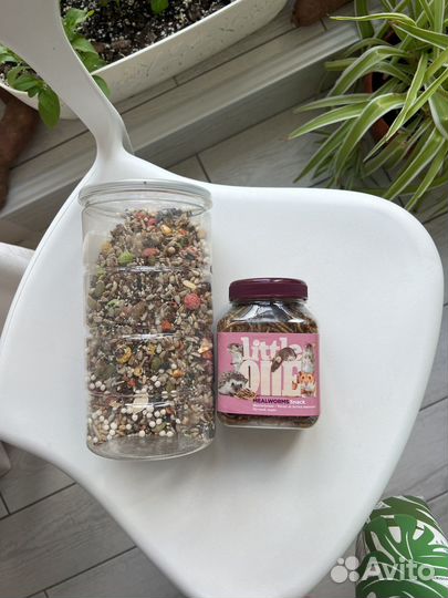 Корм для крыс