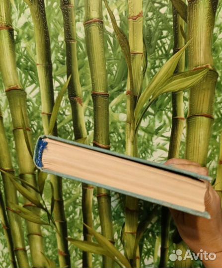 Стругацкие. Обитаемый остров. Стажёры