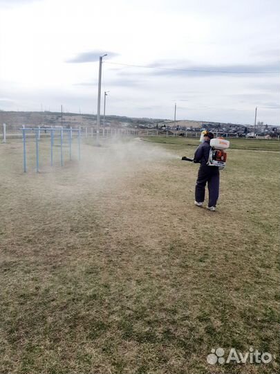 Обработка от клещей комаров ос шершней и тд