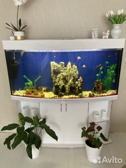 Аквариум с тумбой