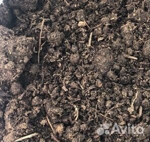 Коровий Навоз, Перегной