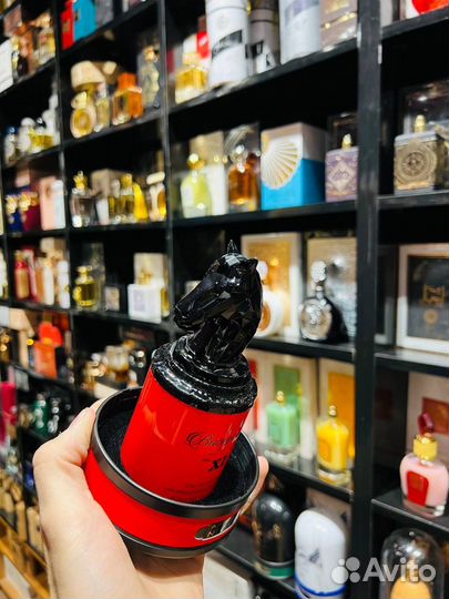 Bucephalus NXI 100 ml