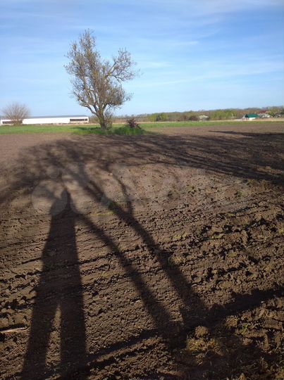 Участок 100 сот. (ИЖС)