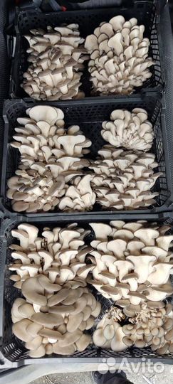 Инвестиции