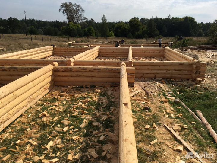 Срубы из осины