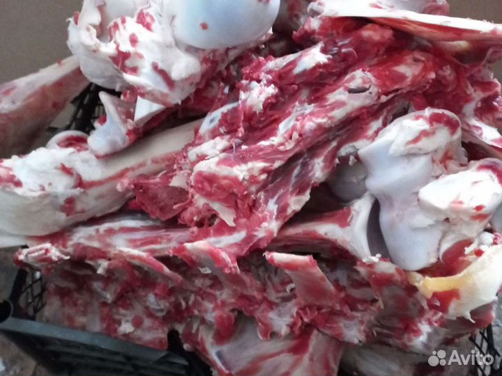 Кости для собак