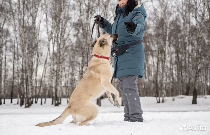 Ирис тоже хочет домой