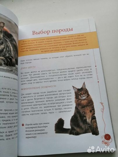 Книга все о кошках